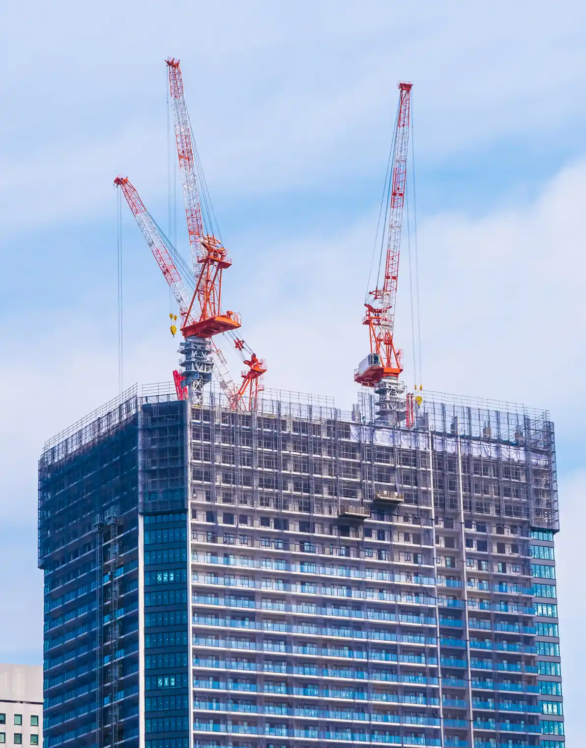 Construction & Real Estate